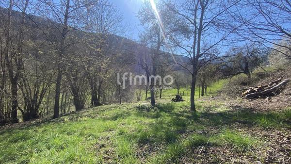 Terrain constructible en pleine nature