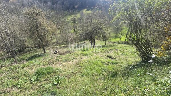 Terrain constructible en pleine nature