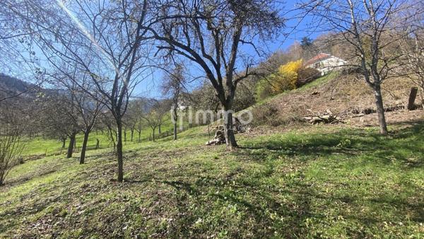 Terrain constructible en pleine nature