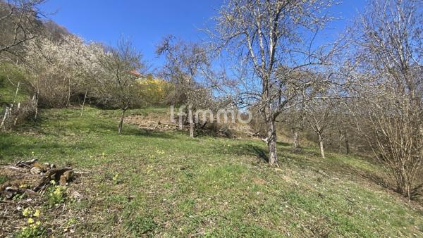 Terrain constructible en pleine nature