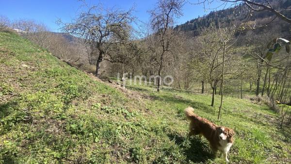 Terrain constructible en pleine nature