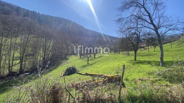 Terrain constructible en pleine nature