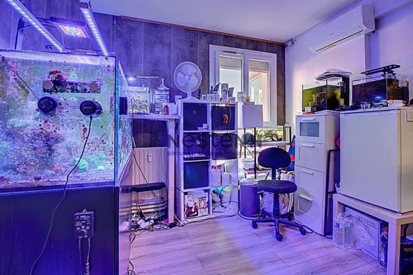 Magnifique Appartement 4 pièces 85 m² + cave