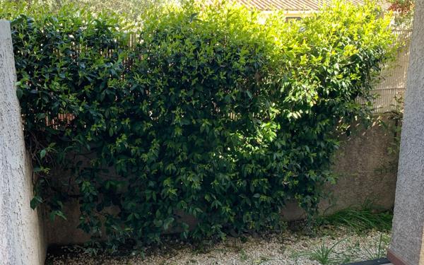 Appartement à louer    2 pièces • 45,90 m2 Nîmes