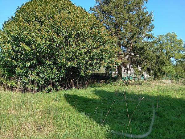 Terrain constructible Nostang 625 m2 , Nostang