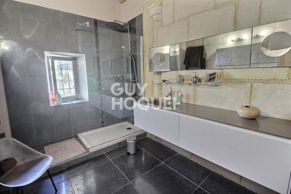 Maison de maître 11 pièce 395 m2
