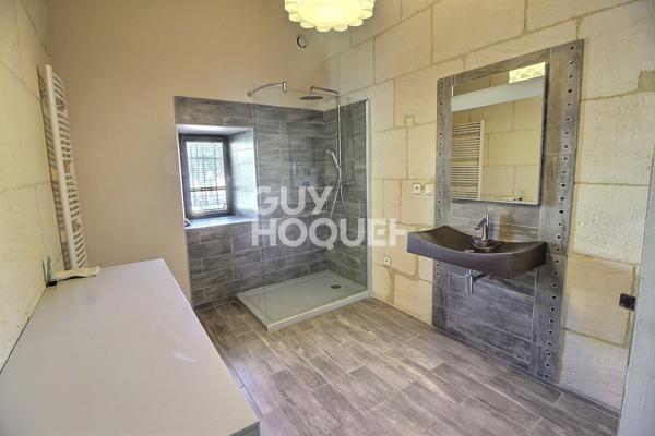 Maison de maître 11 pièce 395 m2