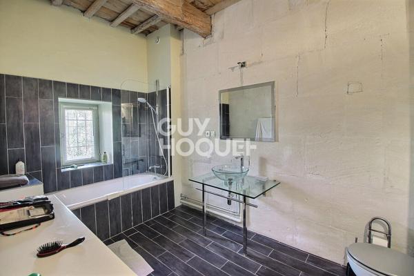 Maison de maître 11 pièce 395 m2