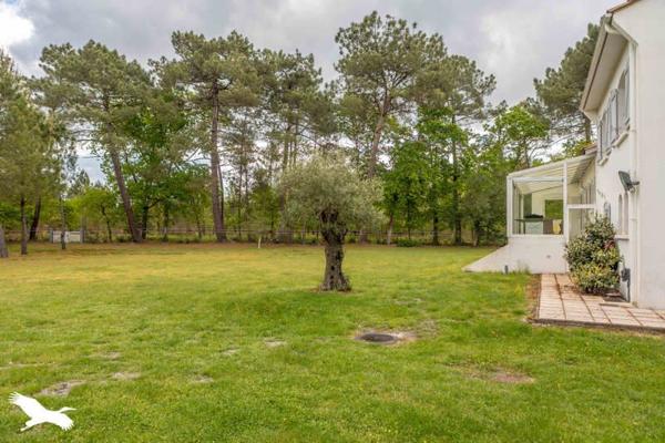 Maison à vendre |  Hourtin |  6 pièces | 181 m²