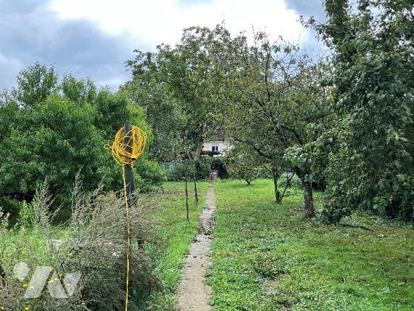 Maison d'habitation comprenant : salon-séjour, cuisine, 3 chambres, salle de bains, jardin, cave.
