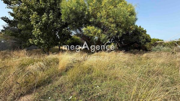 Terrain à L' ILE-D'YEU, 85350 - 874m²