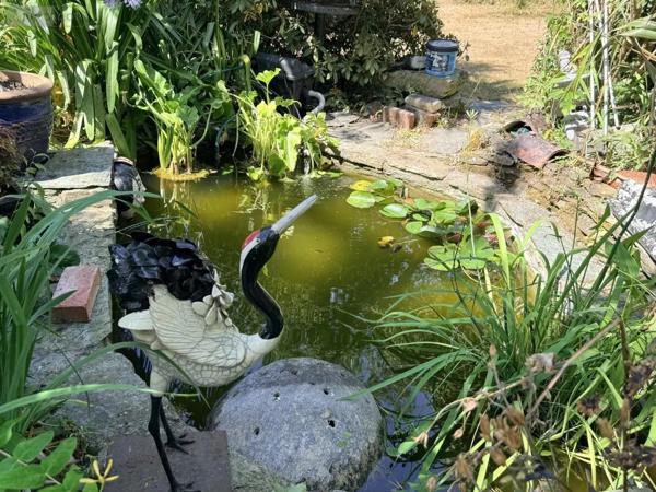 Achat - Maison La Glacerie 50470 9 pièces 258 m 2 1830 m 2