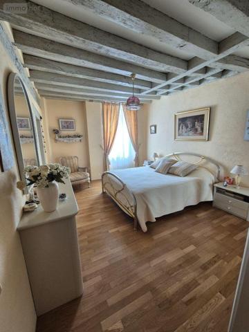 Grande propriété à vendre à Saint-Denis-de-Jouhet dans l'Indre (36230), ref : CG/358