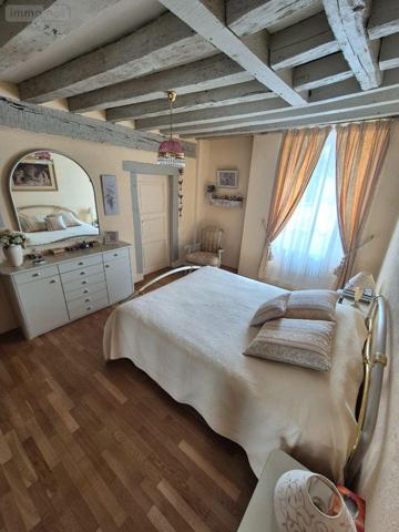 Grande propriété à vendre à Saint-Denis-de-Jouhet dans l'Indre (36230), ref : CG/358