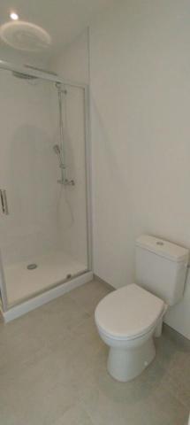 21200 BEAUNE - Appartement en Duplex 3 pièces, 2 chambres 65.12 m2 - Hypercentre - + Grenier + cave