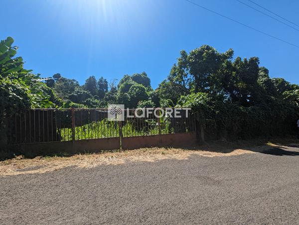 Achat terrain Gourbeyre - 5300 m² - 322 000 €