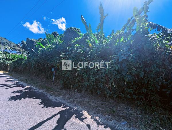 Achat terrain Gourbeyre - 5300 m² - 322 000 €