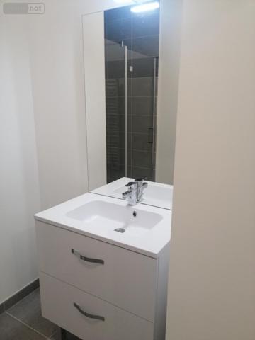 Appartement à louer à Nantes en Loire-Atlantique (44300), ref : 44028-L152