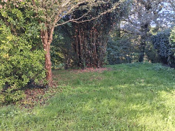 Maison Pontchateau 4 pièce(s) 80 m2