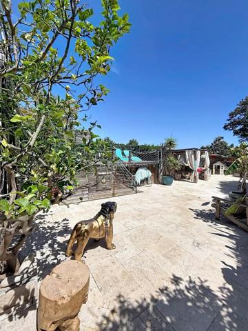 Vente                                                      Maison
                        
                     5 pièces                      90 m2                     à Lumio