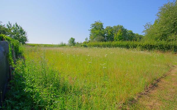 Terrain à vendre