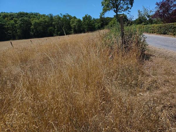 BRETEUIL - Terrain constructible 1800 m² plat & clos proche forêt