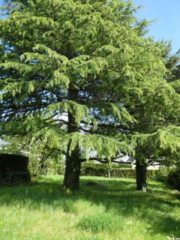 Pavillon à vendre à Amboise dans l'Indre-et-Loire (37400), ref : 11893/507