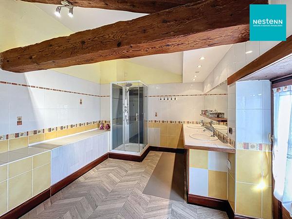 Maison pleine de charme - 220 m² - Montbrison - 4 chambres - terrain env 2200 m²