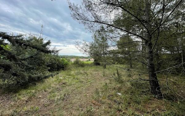 Terrain à vendre    4 012 m2 Armissan