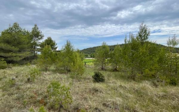 Terrain à vendre    4 012 m2 Armissan