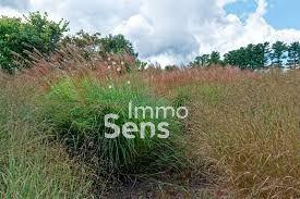 Vente terrain - Douai