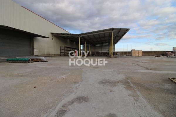 À SAISIR ? Vaste local d'activité aux volumes exceptionnels