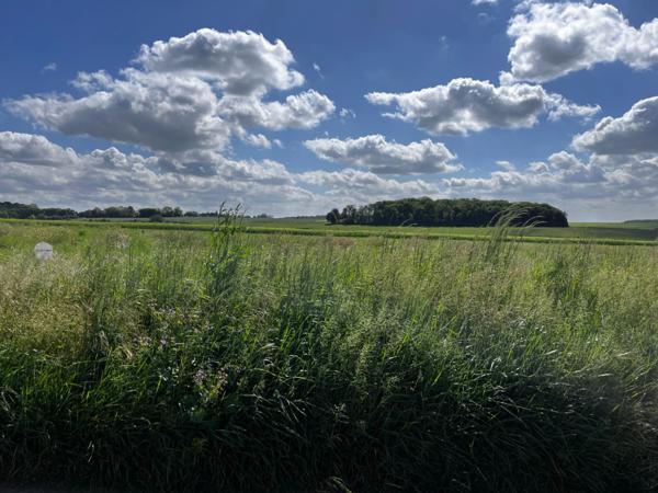 Terrain à vendre de 812,00 m² PORCHEUX (60)