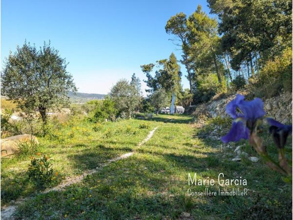 Maison en pierre avec jardin, garage et stationnements