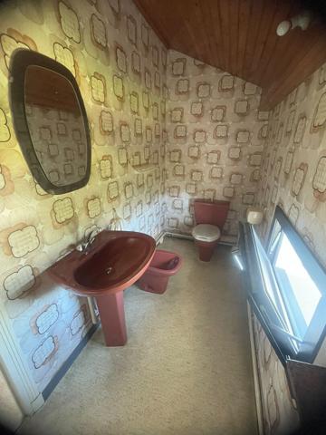 Maison individuelle T5 YSSINGEAUX - VUE DEGAGEE