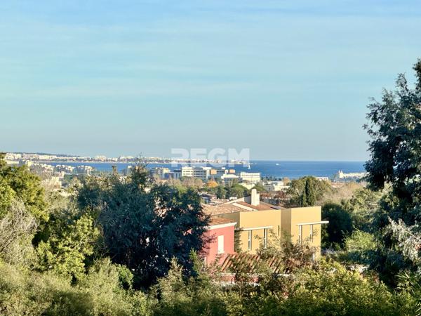Mandelieu-la-Napoule (06210) SPACIEUSE VILLA AVEC PISCINE