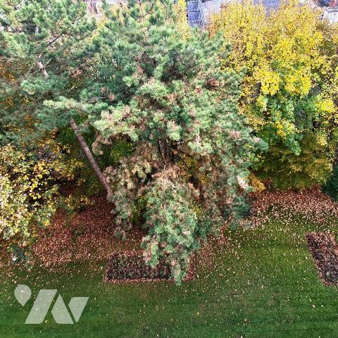 SAINT ANDRE LEZ LILLE bel appartement de Type 4