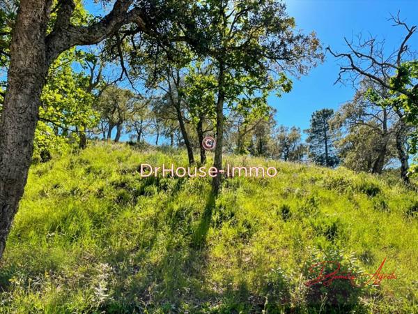 Terrain à vendre de 70 000 m²
