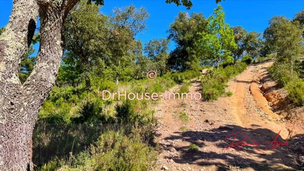 Terrain à vendre de 70 000 m²