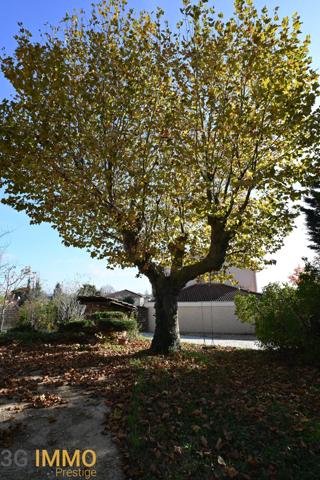 Vente / Maison bourgeoise