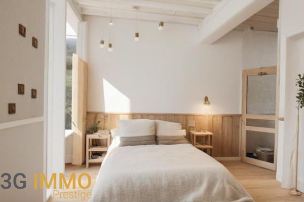 Vente / Maison bourgeoise