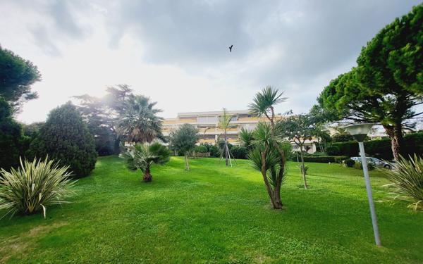 Appartement à louer    3 pièces •  Antibes