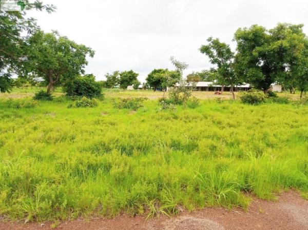 Vente / Terrain constructible à La Motte-d'Aigues (84240)
