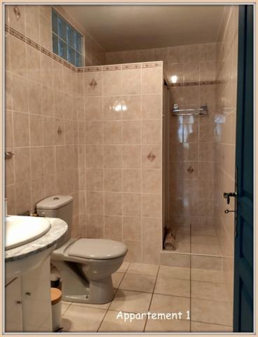 Lectoure, aux portes du village, ensemble immobilier de 324 m² habitables, répartis sur deux niveaux sur parcelle de plus de 5000 m². Idéal pour un investissement locatif !