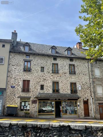 Achat - Immeuble Chaudes-Aigues 15110 7 pièces 110 m 2