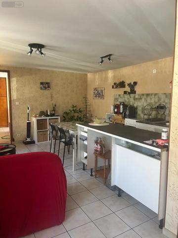 Achat - Immeuble Chaudes-Aigues 15110 7 pièces 110 m 2
