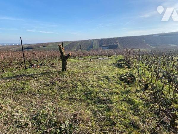 Maison à Vendre à Oger (51190) d'une surface habitable de 136 m² comprenant : 
Au rez-de-chaus...