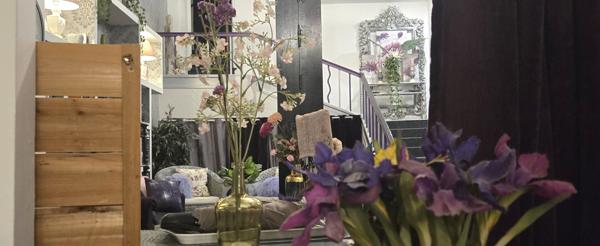 Carcassonne , spectaculaire  appartement de  388 m2