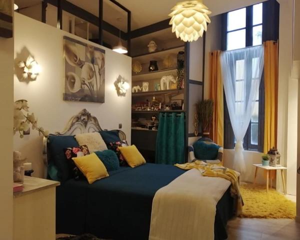 Carcassonne , spectaculaire  appartement de  388 m2