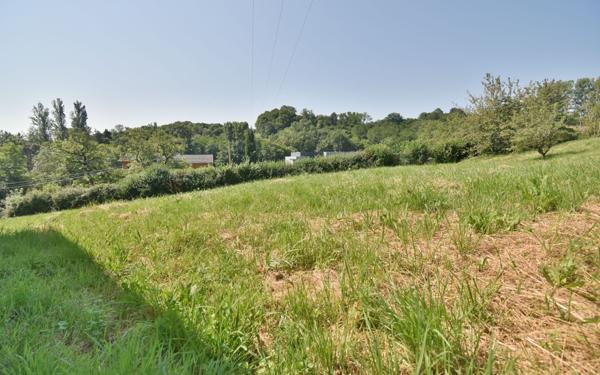 Terrain à vendre    Villieu-Loyes-Mollon